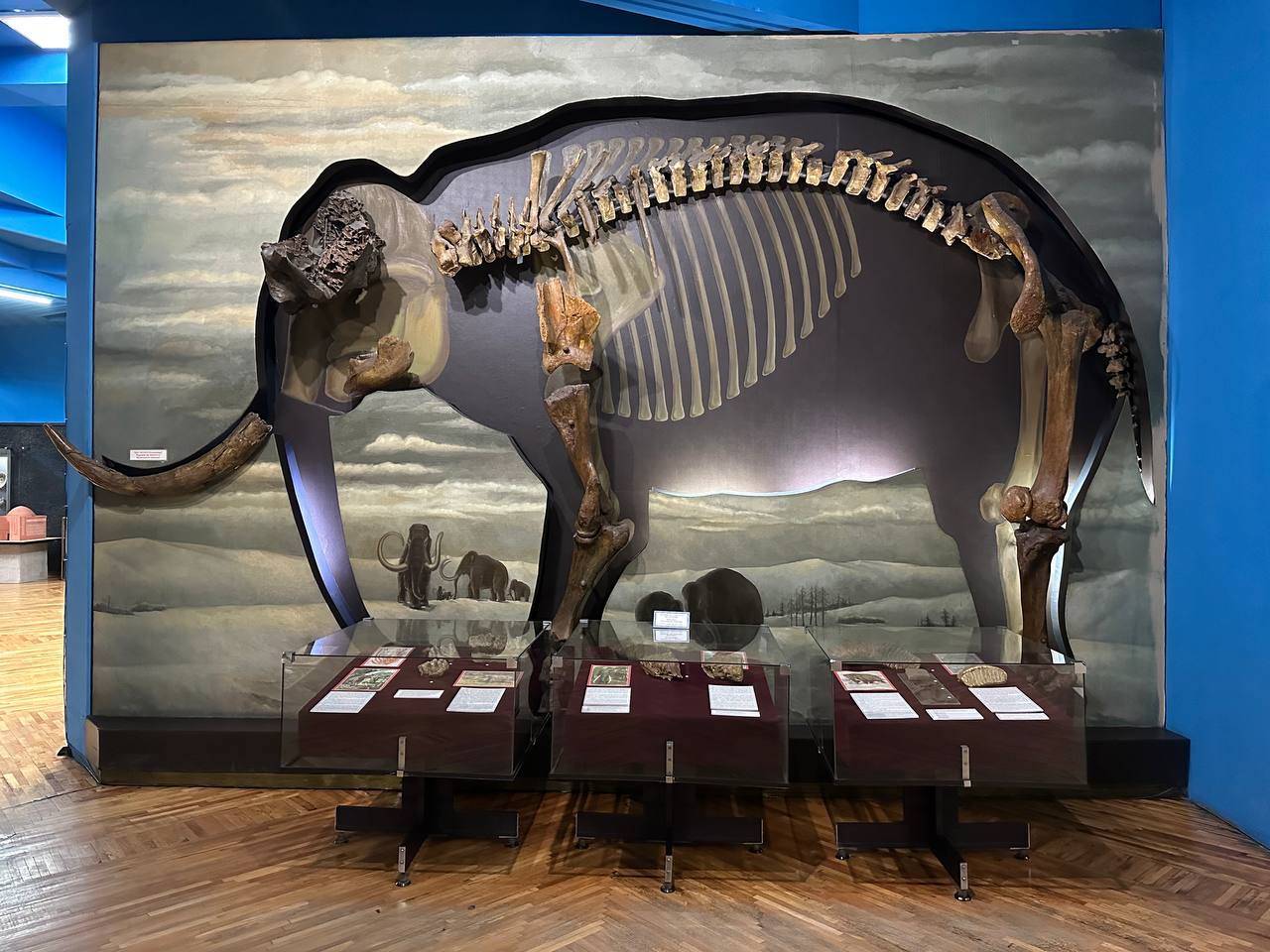 Mammoth bones in the Central Museum of the Republic of Kazakhstan